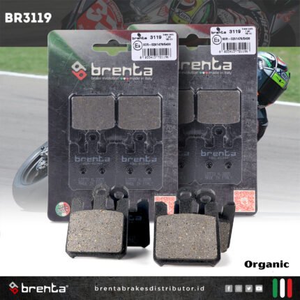BR3119