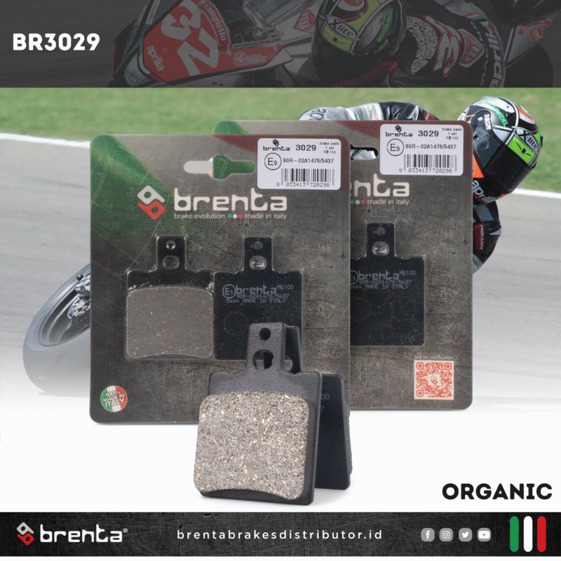 BR3029
