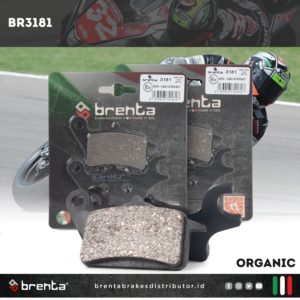 BR3181